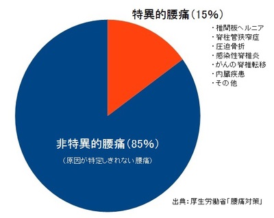 非特異的腰痛.jpg